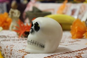 559445_10151126524348008_2035058786_n